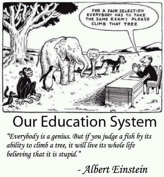 Sistemul nostru educațional